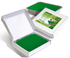 HOLIDAY Parafin EUCALYPTUS 1000 ml