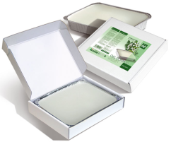 HOLIDAY Parafin JASMINE 1000 ml