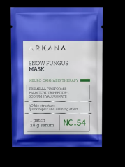 ARKANA Snow Fungus Mask pleťová maska 28 g